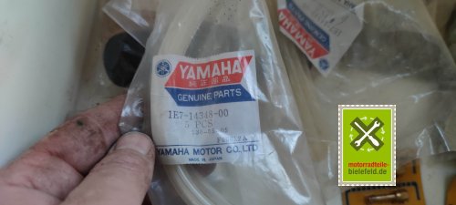 IMG_20230831_195733